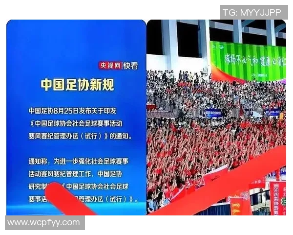 南京足球队比赛经验的变革与热议引发的思考与展望