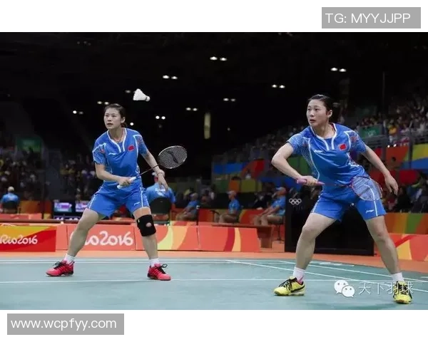 南京羽毛球队区域防守体系解析与战术应用探讨